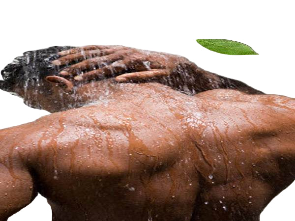 Organic Body Wash - 7 Organic Fragrances - For Men - Onyx Skin Care Line