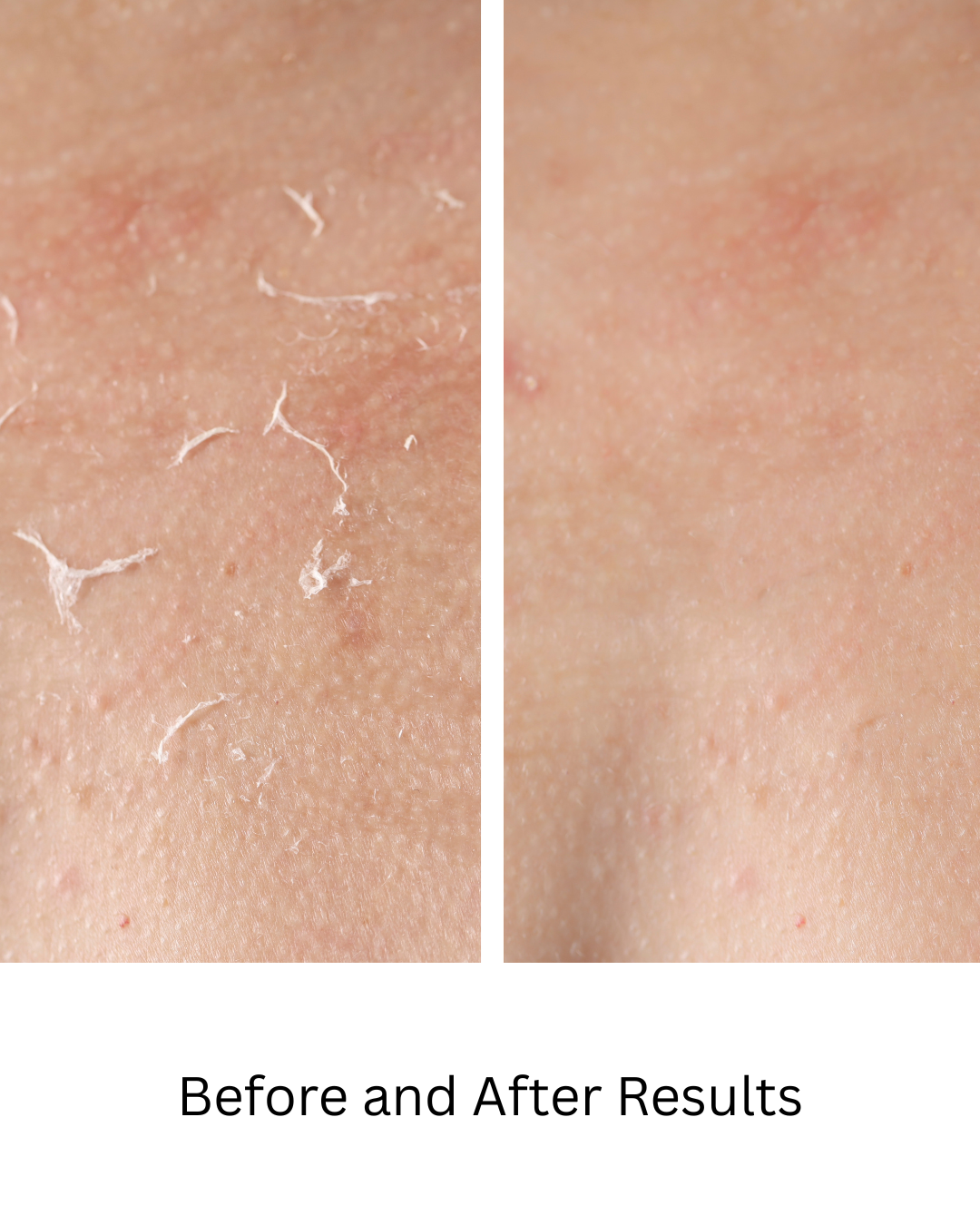 Body and Massage Oil - 12 Organic and Vegan FRAGRANCES