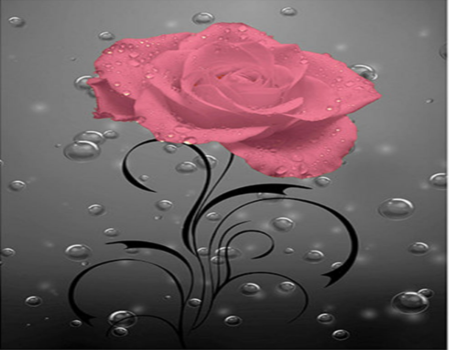 Shea Body Butter Bulgarian Rose Fragrance 8 oz. tub - ITEM CODE:  601950413072